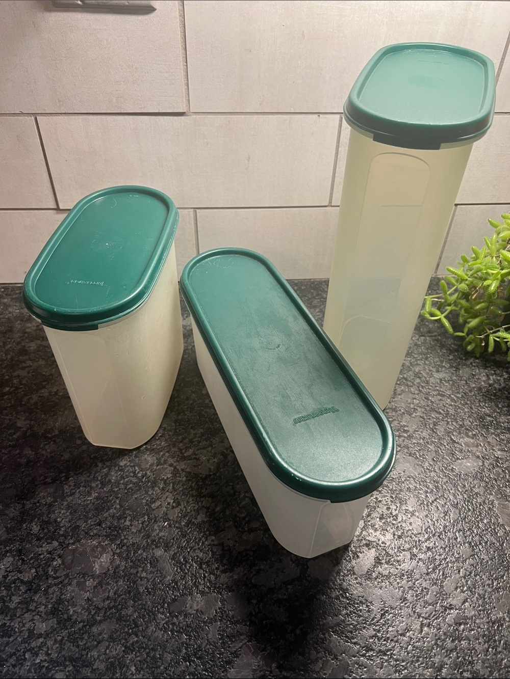 Tupperware Cream Containers with Dark Green Lids - Modular Pantry Set